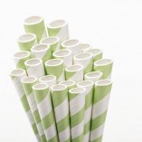 Eco Friendly Paper Straws 7.7 in. Green 100/Cs